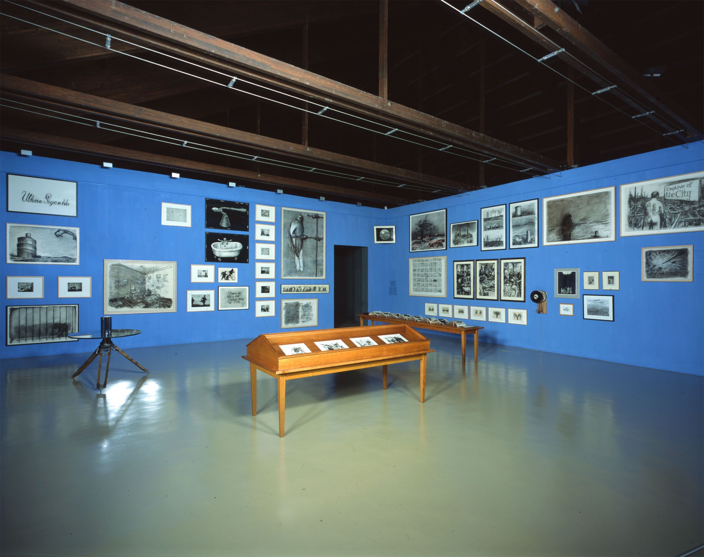 u0022William Kentridgeu0022, installation view